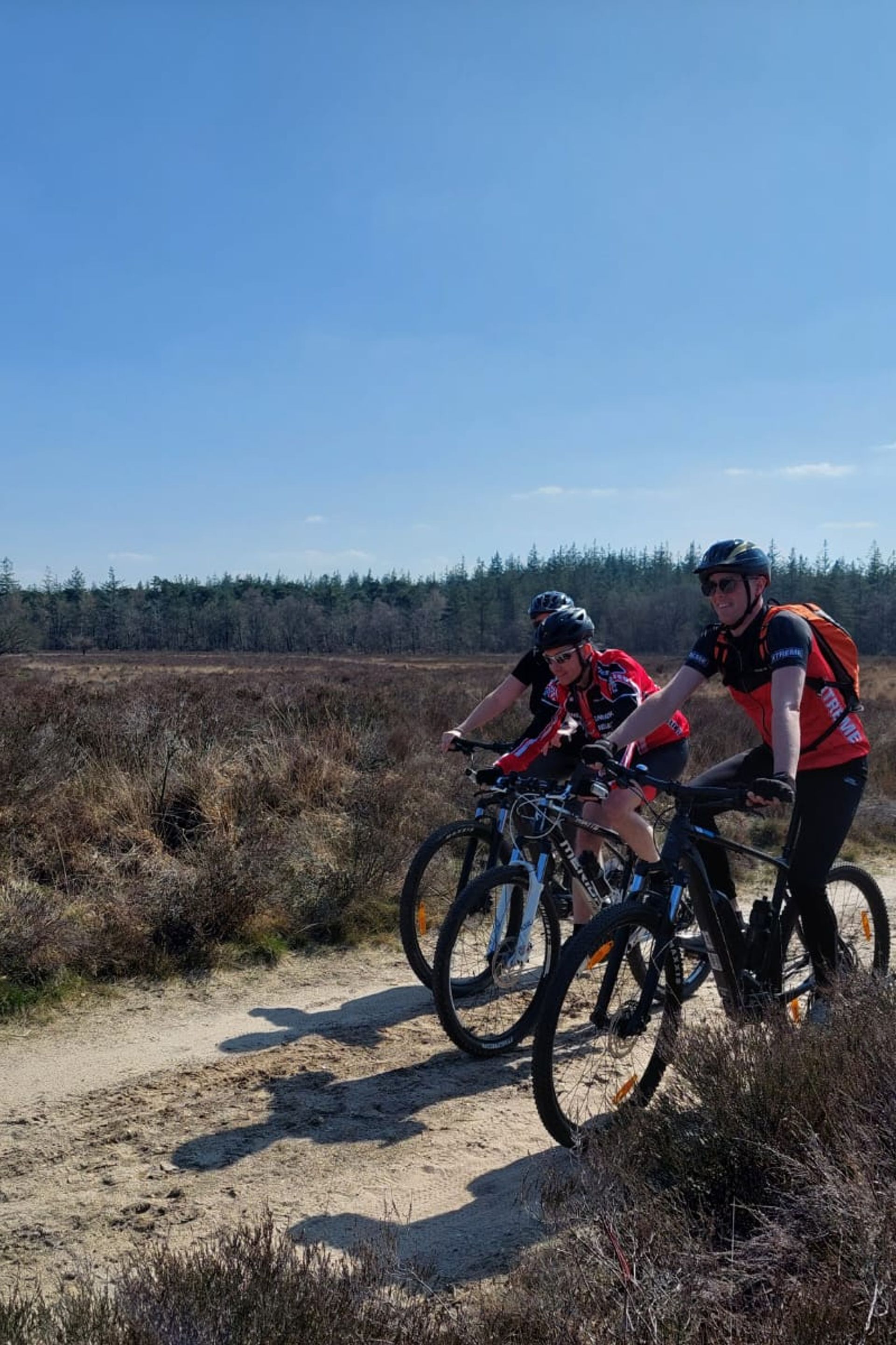 3 mensen op mountainbikes, fietsend op een pad over de heide op de Veluwe met bomen in de verte