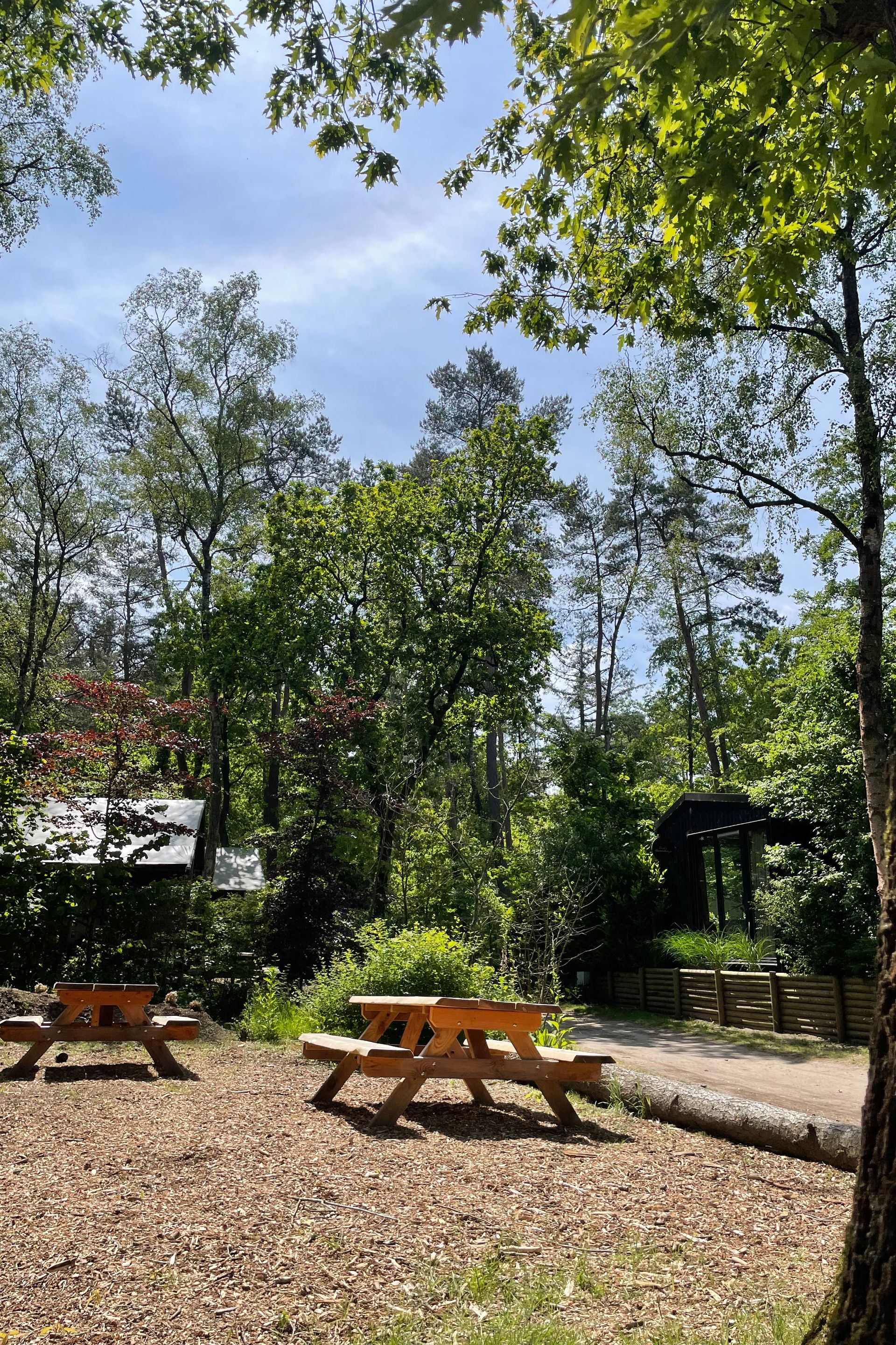 twee picknick tafels op een zonnige open plek, omringd door bomen op bospark de vossenberg