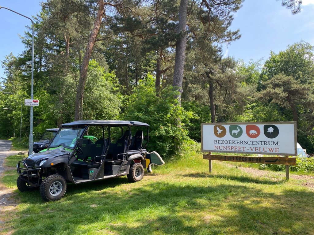 wat te doen op de Veluwe: wildspotten